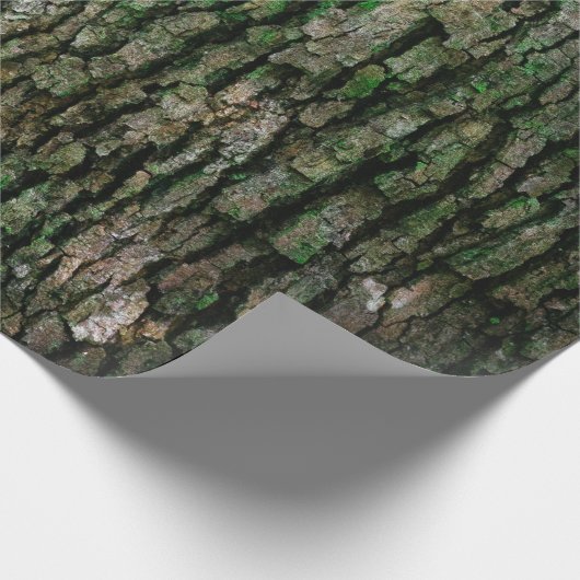 Baumstamm (Holzbrücke) Geschenkpapier (Ecke)