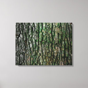 Baumstamm (Holzbrücke) Leinwanddruck