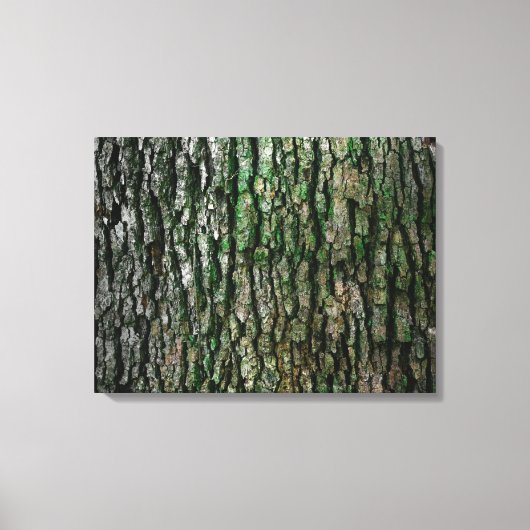 Baumstamm (Holzbrücke) Leinwanddruck (Vorderseite)