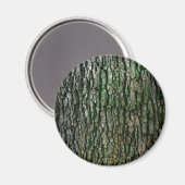 Baumstamm (Holzbrücke) Magnet (Vorderseite/Rückseite)