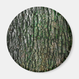 Baumstamm (Holzbrücke) Magnet