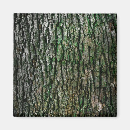 Baumstamm (Holzbrücke) Magnet