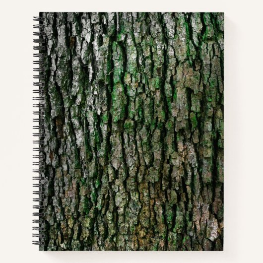 Baumstamm (Holzbrücke) Notizblock (Vorderseite)