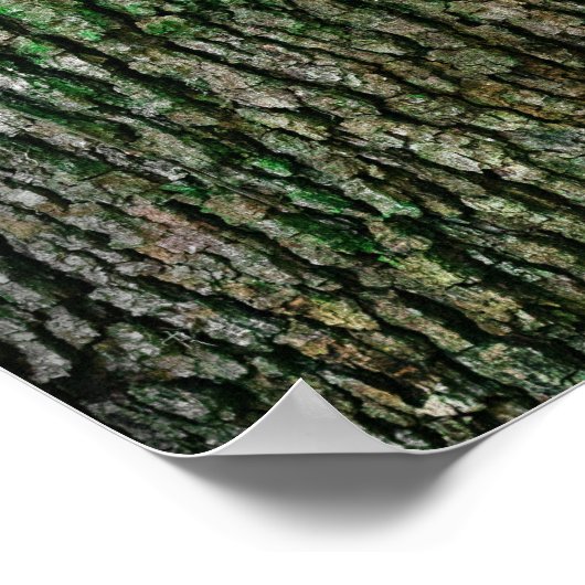 Baumstamm (Holzbrücke) Poster (Ecke)