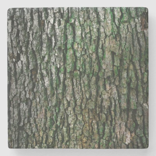 Baumstamm (Holzbrücke) Steinuntersetzer (Vorderseite)