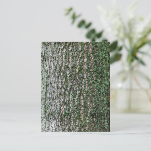 Baumstamm Postkarte (Stehend Vorderseite)