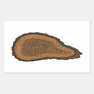 Baumstamm-Querschnitts-Wachstumsräte Bäume Rechteckiger Aufkleber