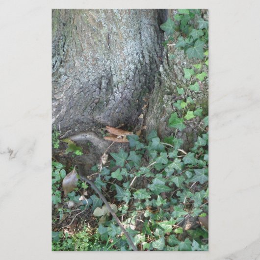 Baumstamm und Efeu im Wald Briefpapier (Vorderseite)