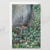 Baumstamm und Efeu im Wald Briefpapier (Vorne/Hinten)
