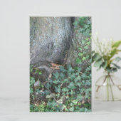 Baumstamm und Efeu im Wald Briefpapier (Stehend Vorderseite)