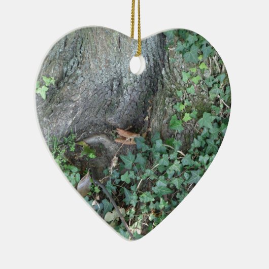 Baumstamm und Efeu im Wald Keramikornament (Rechts)