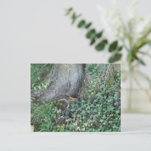 Baumstamm und Efeu im Wald Postkarte (Stehend Vorderseite)