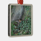 Baumstamm und Efeu im Wald Silbernes Ornament (Rechts)
