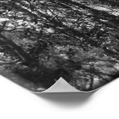 Baumstämme (b/w) poster (Ecke)