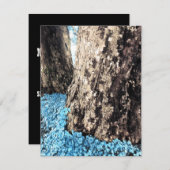 Baumstämme Einladung (Vorne/Hinten)