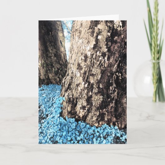 Baumstämme Feiertagskarte (Vorderseite)