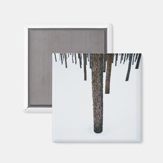 Baumstämme im Schnee Magnet (Vorderseite/Rückseite)