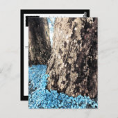 Baumstämme Postkarte (Vorne/Hinten)