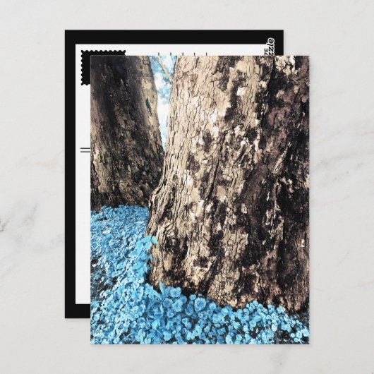 Baumstämme Postkarte (Vorne/Hinten)