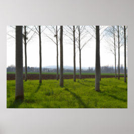 Baumstämme und die französische Landschaft Poster