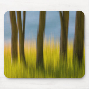 Baumstämme und Gras  San Juan Islands, WA Mousepad