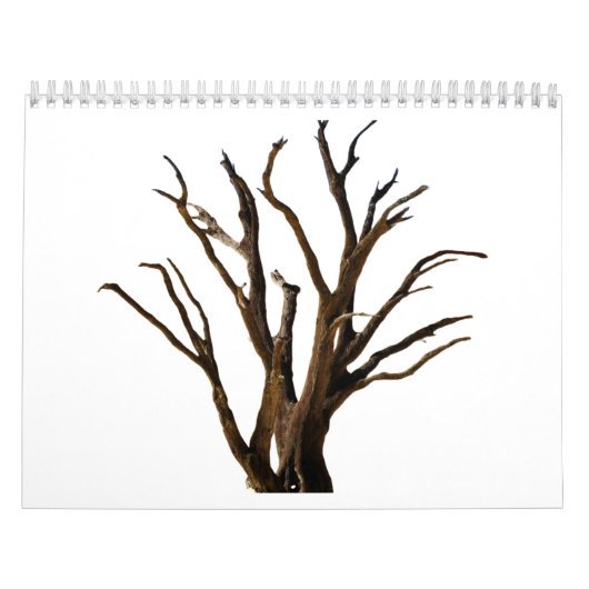 Baumstruktur Kalender (Titelbild)