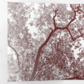 Baumstruktur Karte 4 (Innen Erste Seite)