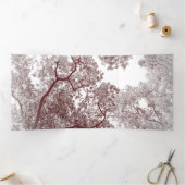 Baumstruktur Karte 4 (Innenseite)