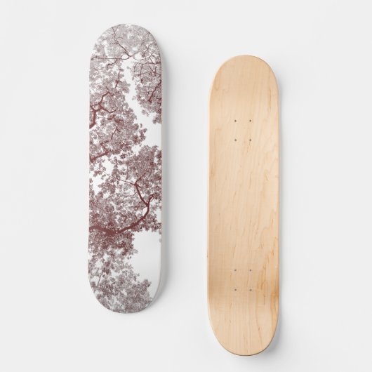 Baumstruktur Karte 4 Skateboard (Vorderseite)