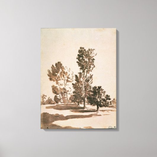 Baumstudie (Stift & Tinte auf Papier) Leinwanddruck (Vorderseite)