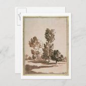 Baumstudie (Stift & Tinte auf Papier) Postkarte (Vorne/Hinten)