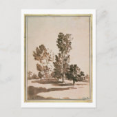 Baumstudie (Stift & Tinte auf Papier) Postkarte (Vorderseite)