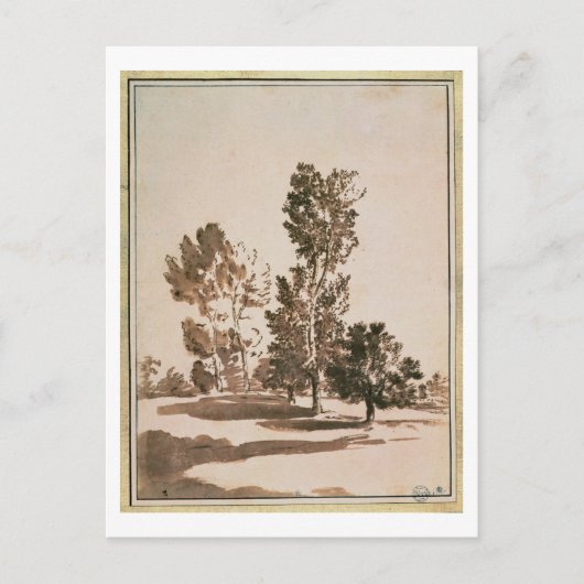 Baumstudie (Stift & Tinte auf Papier) Postkarte (Vorderseite)