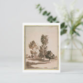 Baumstudie (Stift & Tinte auf Papier) Postkarte (Stehend Vorderseite)