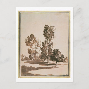 Baumstudie (Stift & Tinte auf Papier) Postkarte