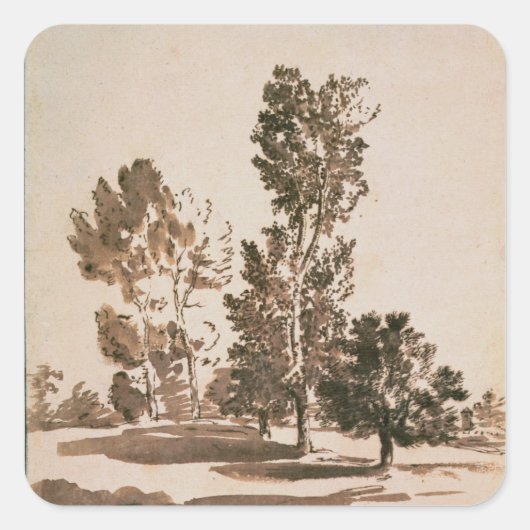 Baumstudie (Stift & Tinte auf Papier) Quadratischer Aufkleber (Vorderseite)