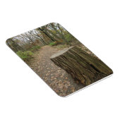 Baumstumpf an Weg Magnet (Rechte Seite)