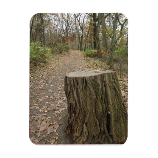 Baumstumpf an Weg Magnet (Vertikal)