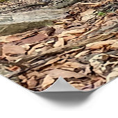 Baumstumpf im Wald Poster (Ecke)