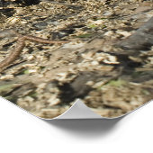 Baumstumpf Poster (Ecke)