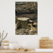 Baumstumpf Poster (Küche)