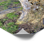 Baumstumpf-Poster Poster (Ecke)