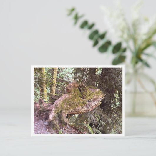Baumstumpf Postkarte (Stehend Vorderseite)