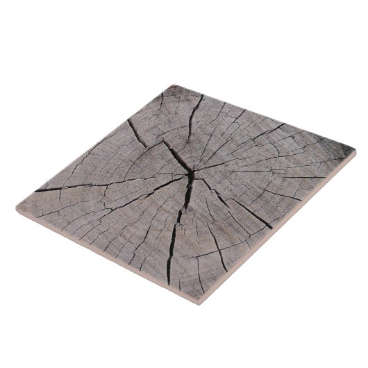 Baumstumpf rustikal natürlichen Hintergrund Fliese (Seite)