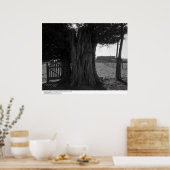 Baumstumpf, Tor und Stall in Ferne, März 1962 Poster (Küche)