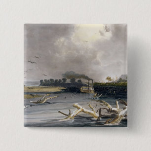 Baumstümpfe (versunkene Bäume) auf dem Missouri, Button