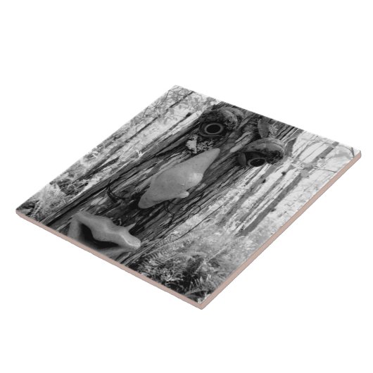 Baumtroll auf einem Big Cypress-Baum. Fliese (Seite)