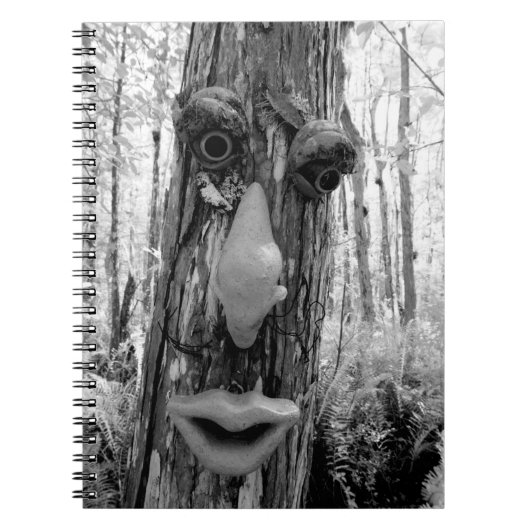 Baumtroll auf einem Big Cypress-Baum. Notizblock (Vorderseite)