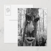 Baumtroll auf einem Big Cypress-Baum. Postkarte (Vorne/Hinten)