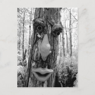 Baumtroll auf einem Big Cypress-Baum. Postkarte
